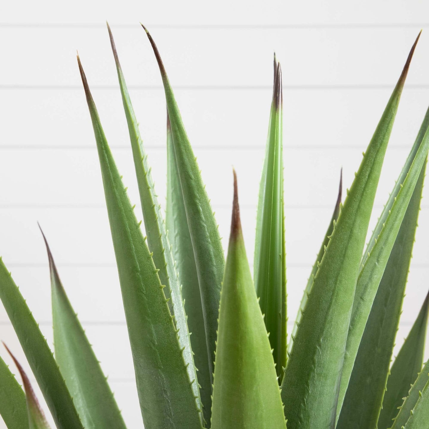 28” Artificial Agave Plant - ONLINE EXCLUSIVE