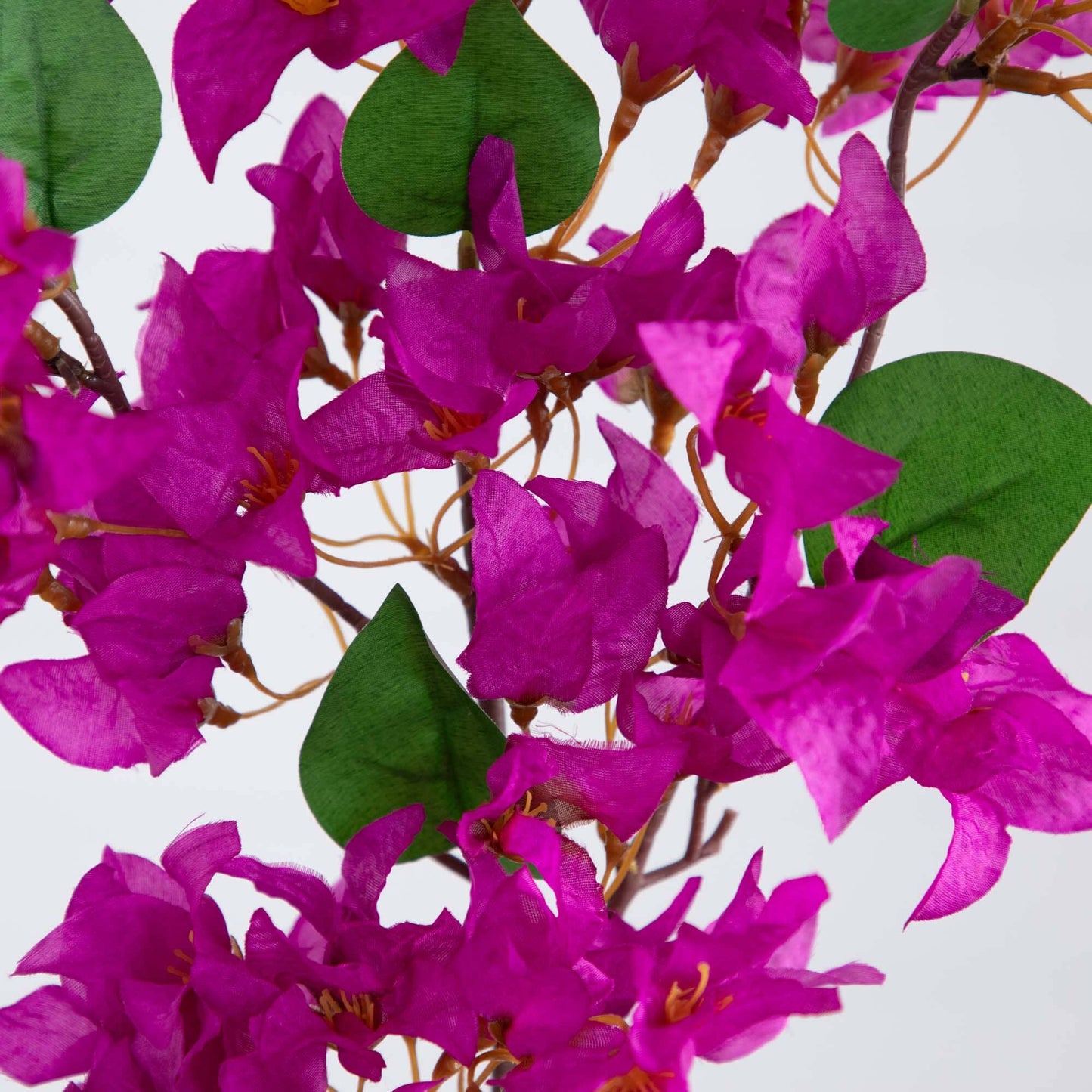 Bougainvillea Stems - Set of 3