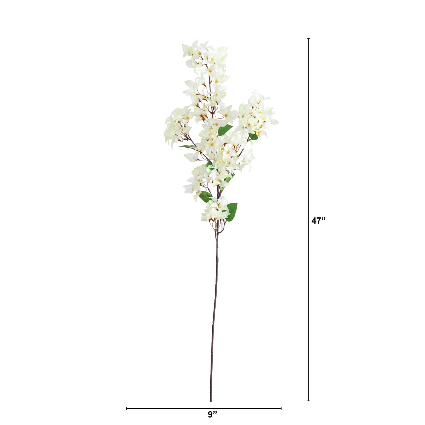 Bougainvillea Stems - Set of 3