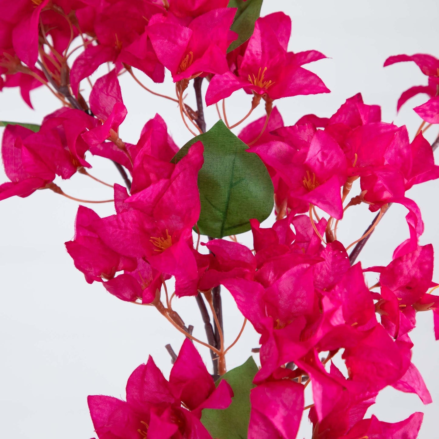Bougainvillea Stems - Set of 3