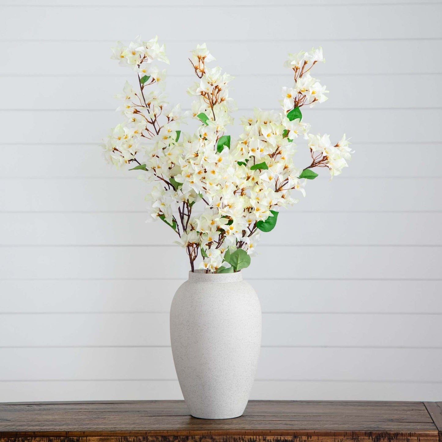 Bougainvillea Stems - Set of 3