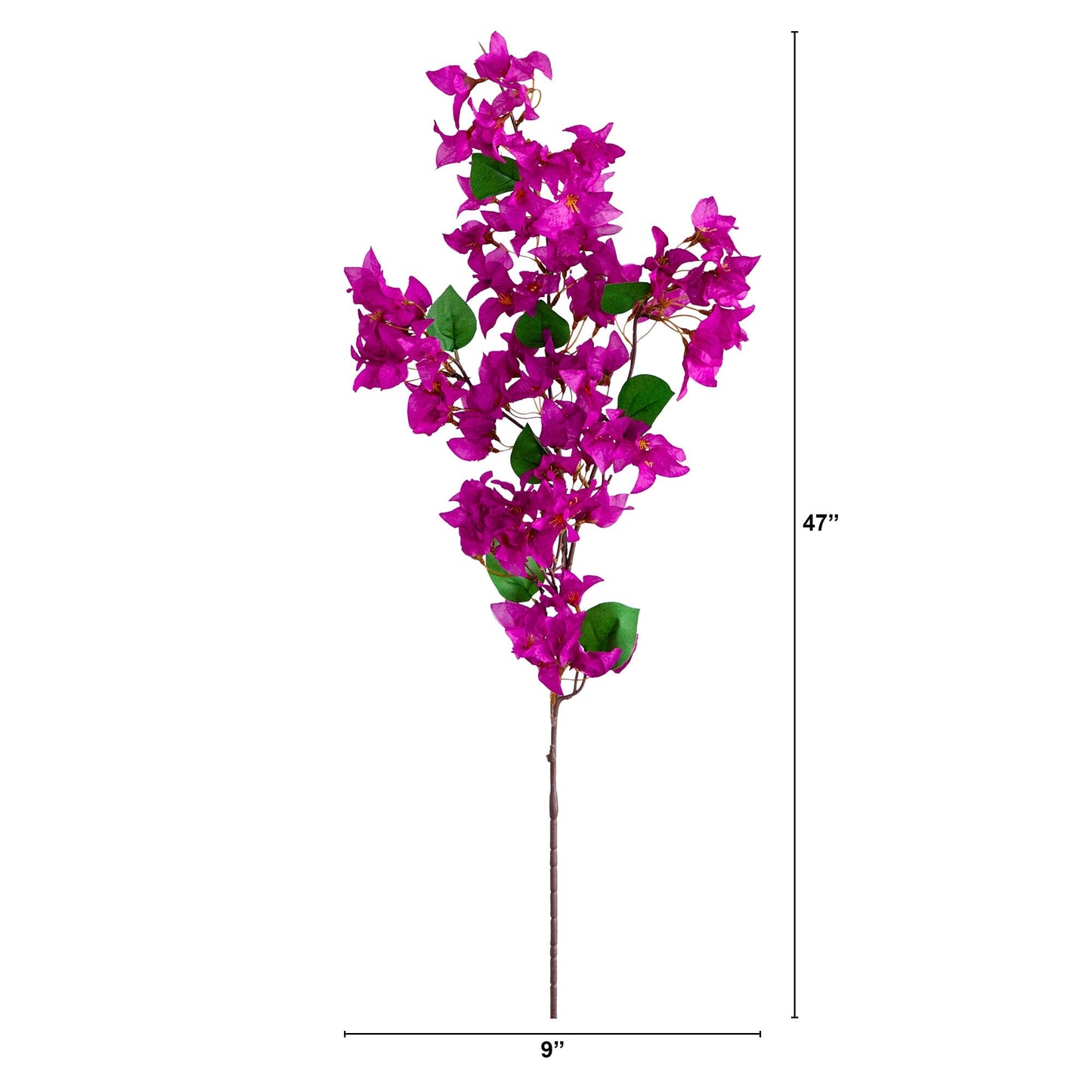 Bougainvillea Stems - Set of 3