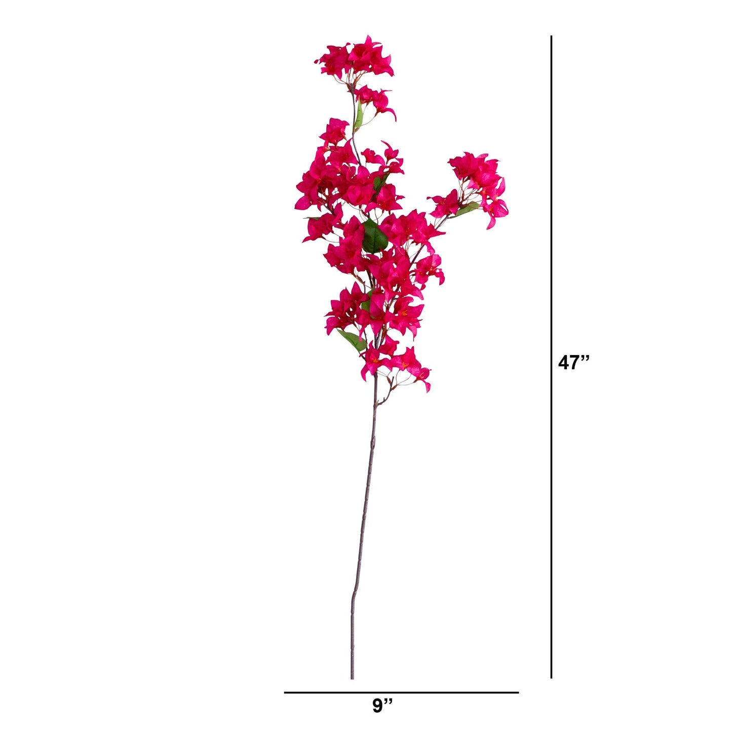 Bougainvillea Stems - Set of 3