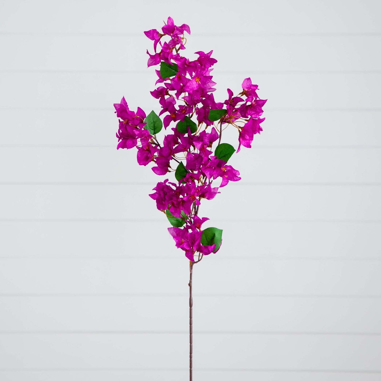 Bougainvillea Stems - Set of 3