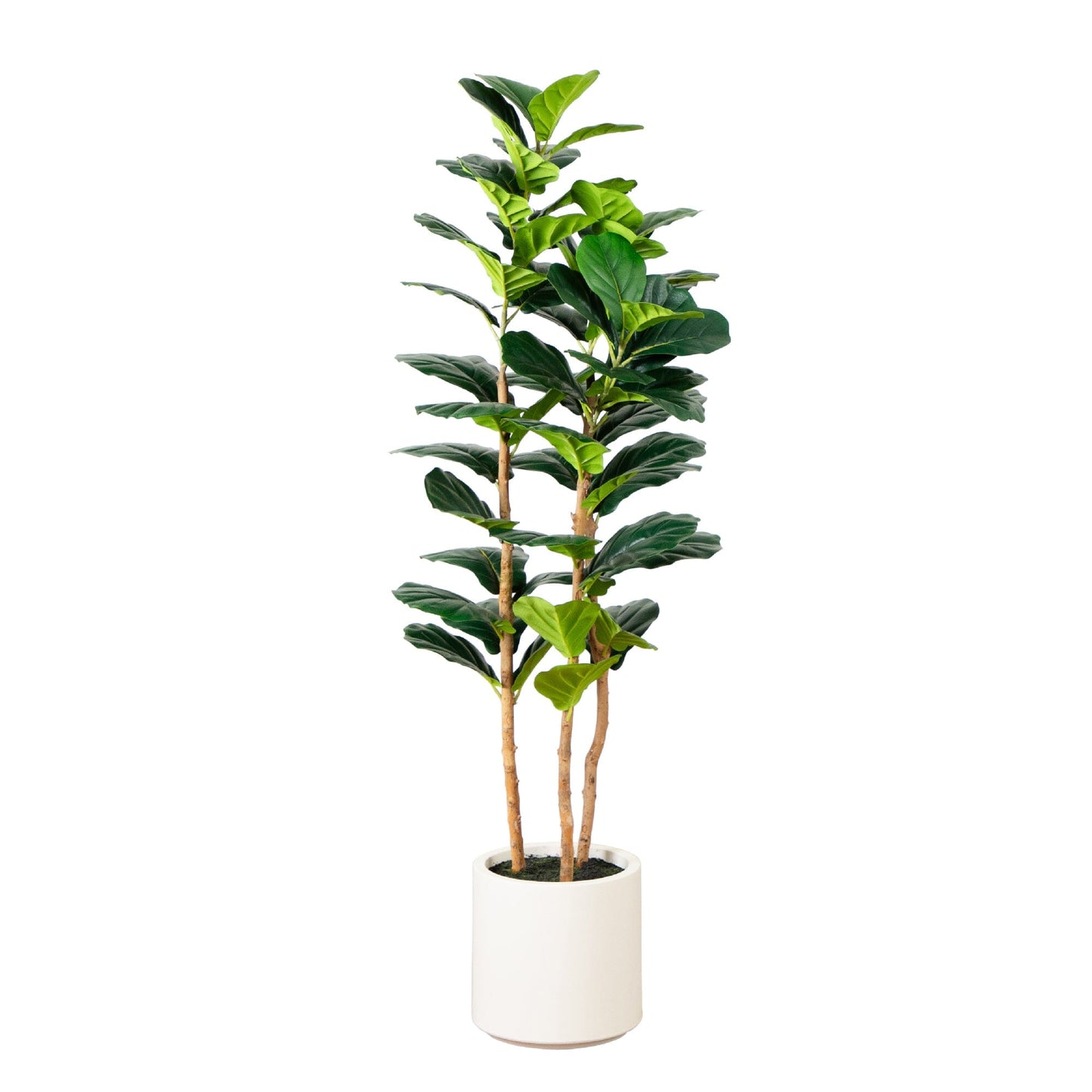 5’ Artificial Fiddle Leaf Tree - ONLINE EXCLUSIVE