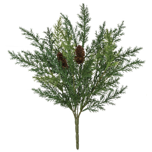 Cedar Pine Bush Pick