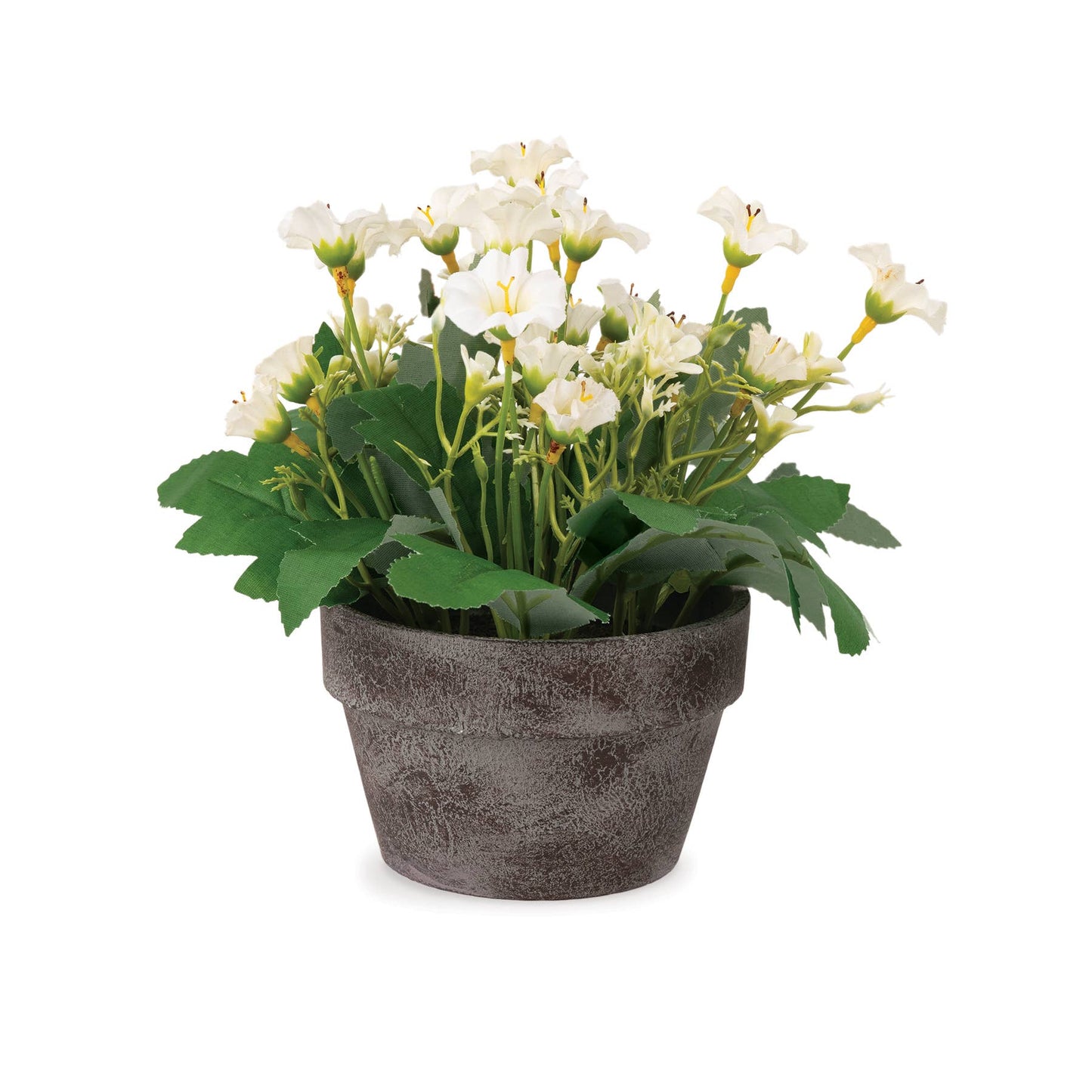 Potted White Florals