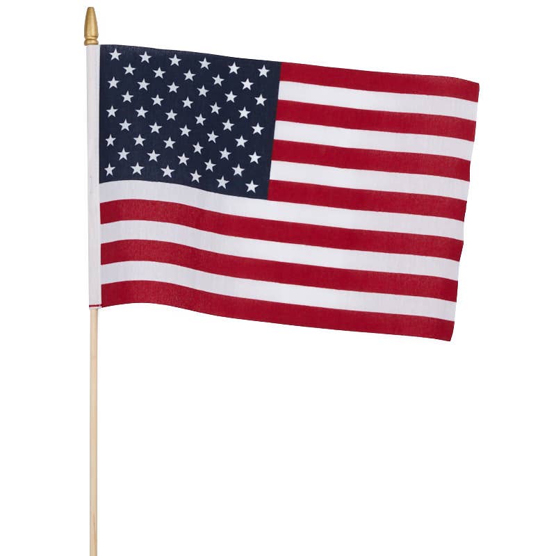 12" x 8"  American Stick Flag