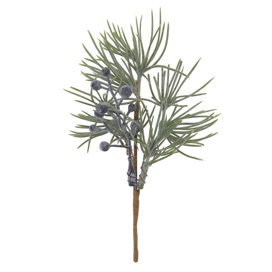 Pine & Blue Berry Pick