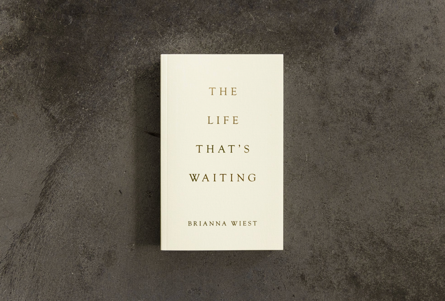 The Life That's Waiting (book)
