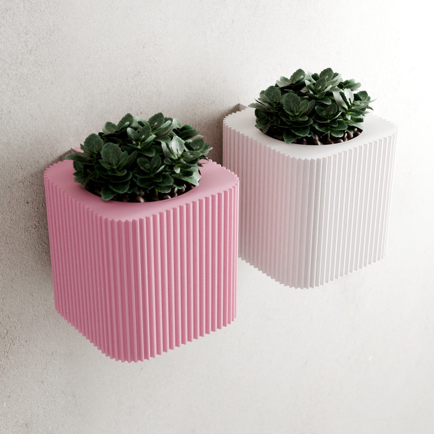 Hanging Box Planter (ONLINE EXCLUSIVE)