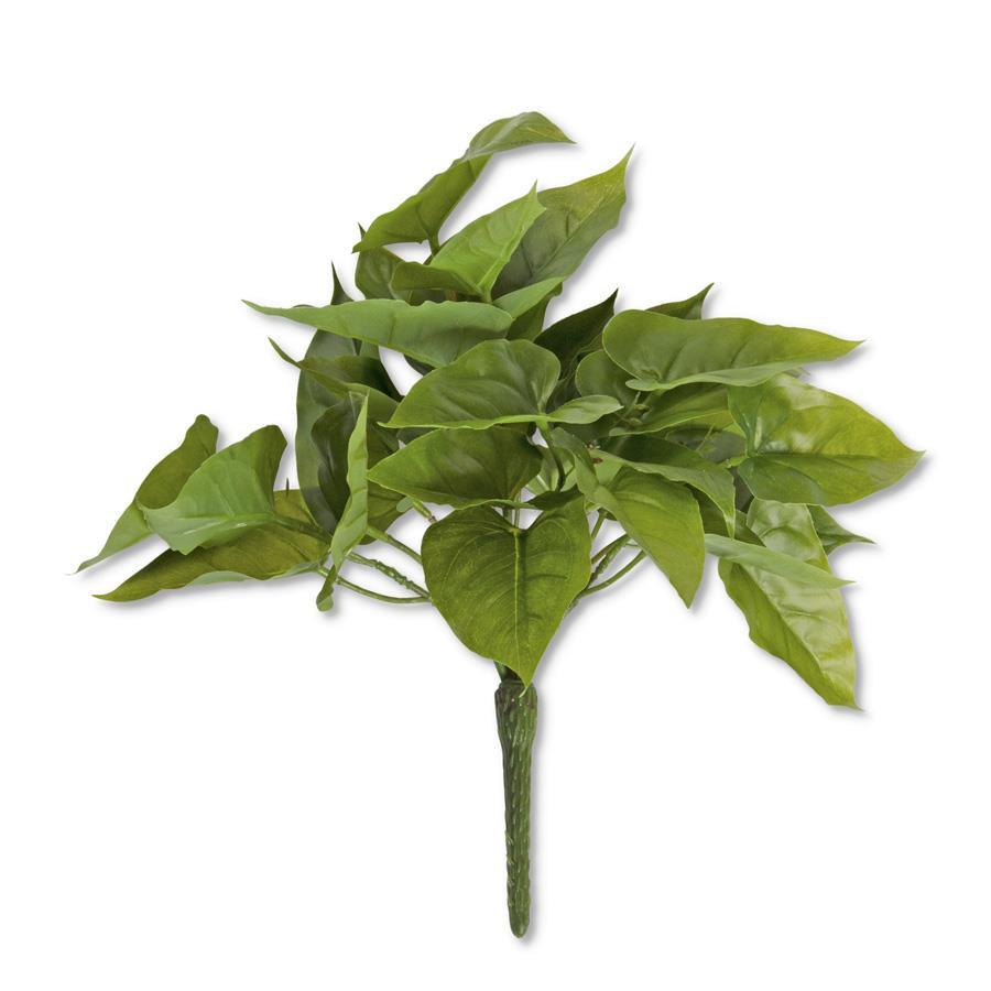 Anthura Leaf Bush