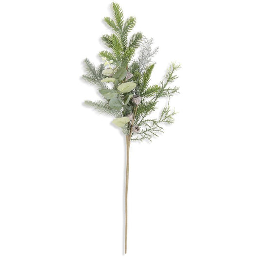 Mixed Pine Eucalyptus Pick