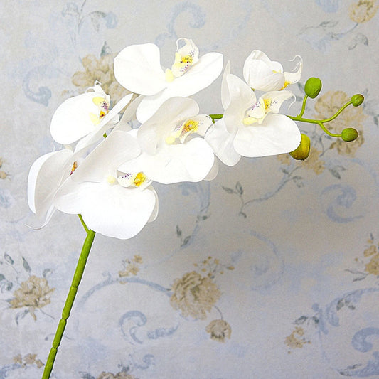Faux Real-Touch Orchid Stem - White