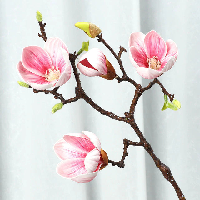 Magnolia 3-Head Branch