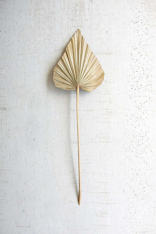 Dried Palm Spear