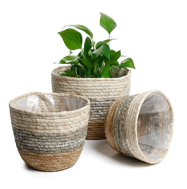 Seagrass Potting Basket - 3 Sizes
