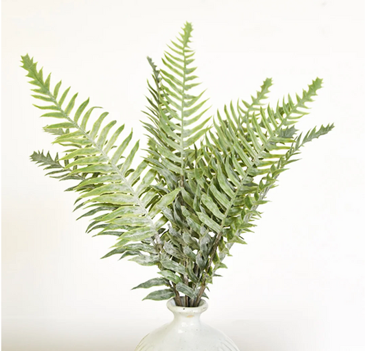 Fern Leaf Bush Pick Light Green