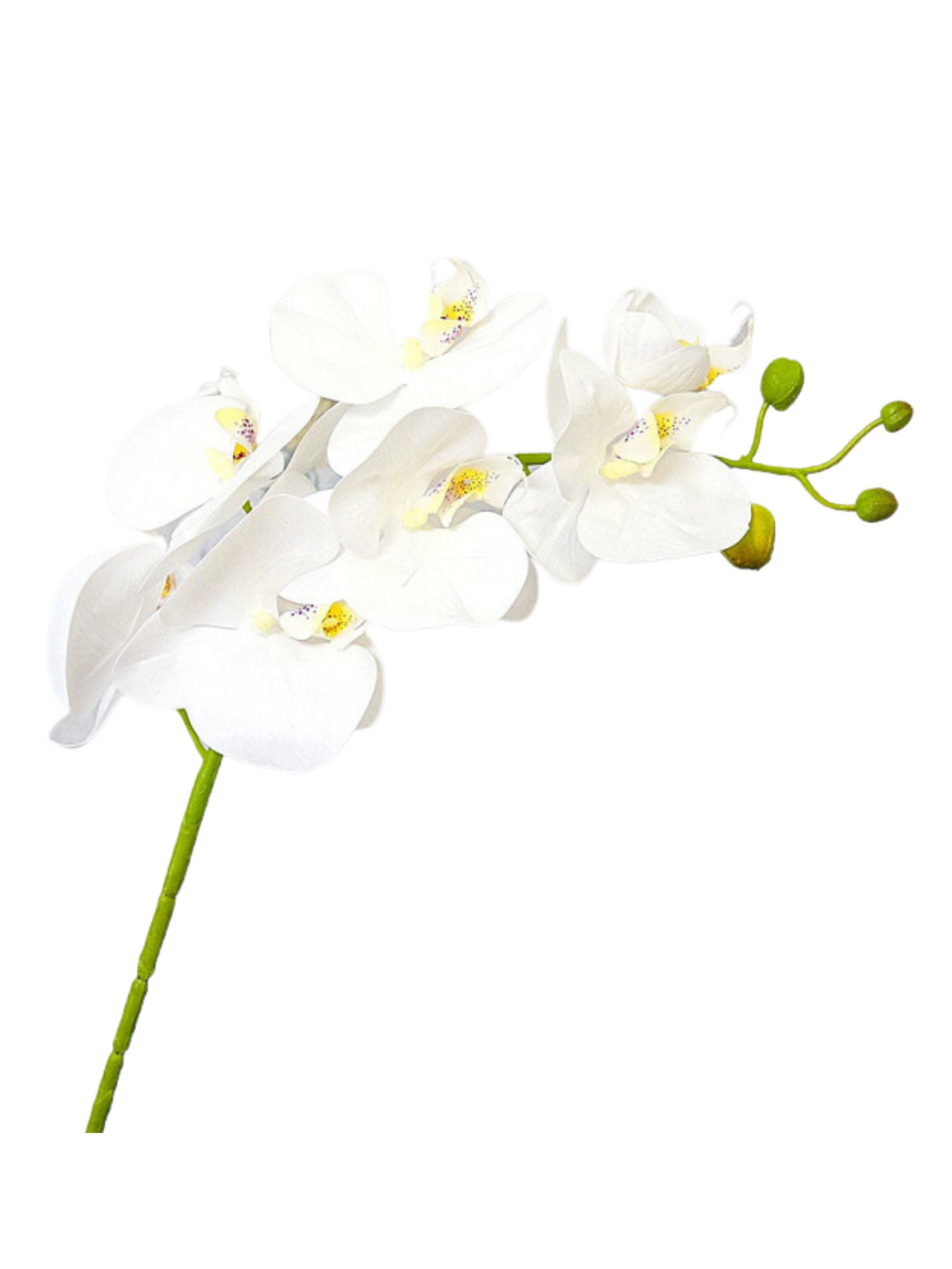 Faux Real-Touch Orchid Stem - White