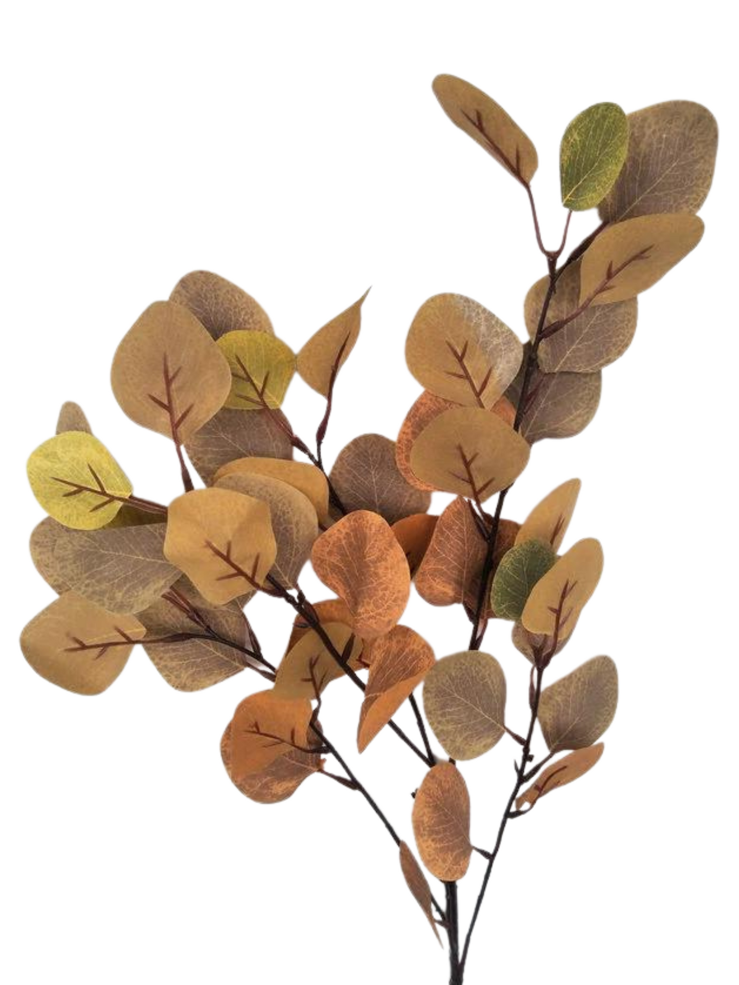 Fall Eucalyptus Branch - Pale Orange